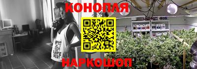 гашик Жуковский