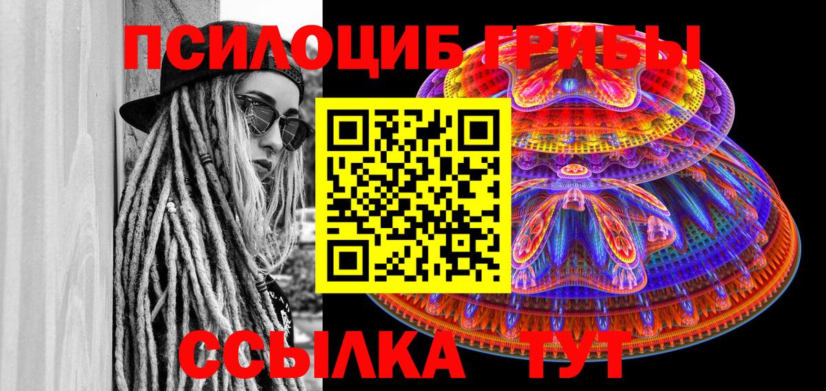 Псилоцибиновые грибы Magic Shrooms  Вход с VPN  купить наркотик  Североморск 